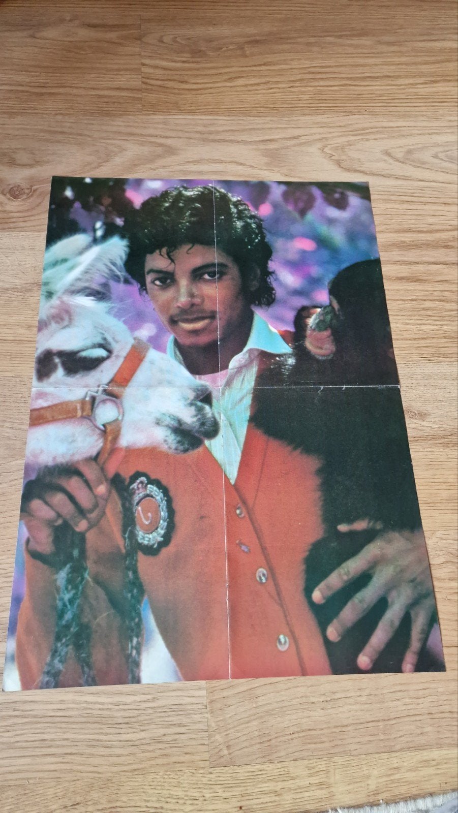Michael Jackson met Lama Louis en Bubbles - Originele Poster, Verzenden, Gebruikt, Poster, Artwork of Schilderij