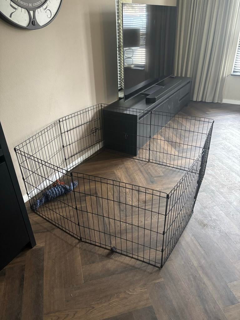 Puppy ren, Ophalen
