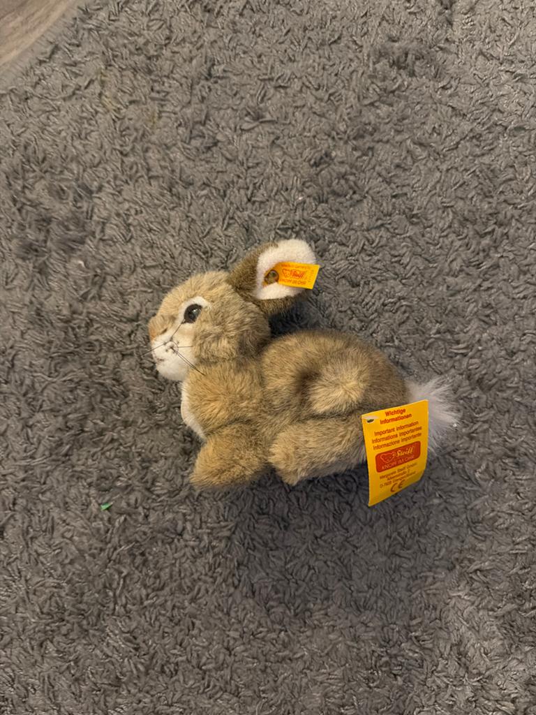 Nieuw Steiff Konijn Knuffel - Origineel met Label, Ophalen of Verzenden, Zo goed als nieuw