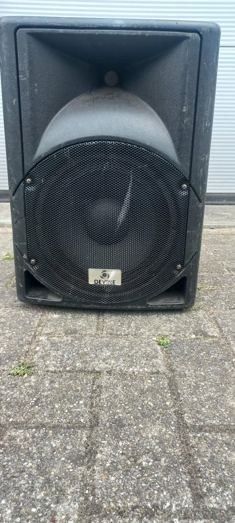 Devine Artis 10A speaker voor onderdelen en/of spare parts, Overige merken, Gebruikt, Ophalen of Verzenden, 120 watt of meer