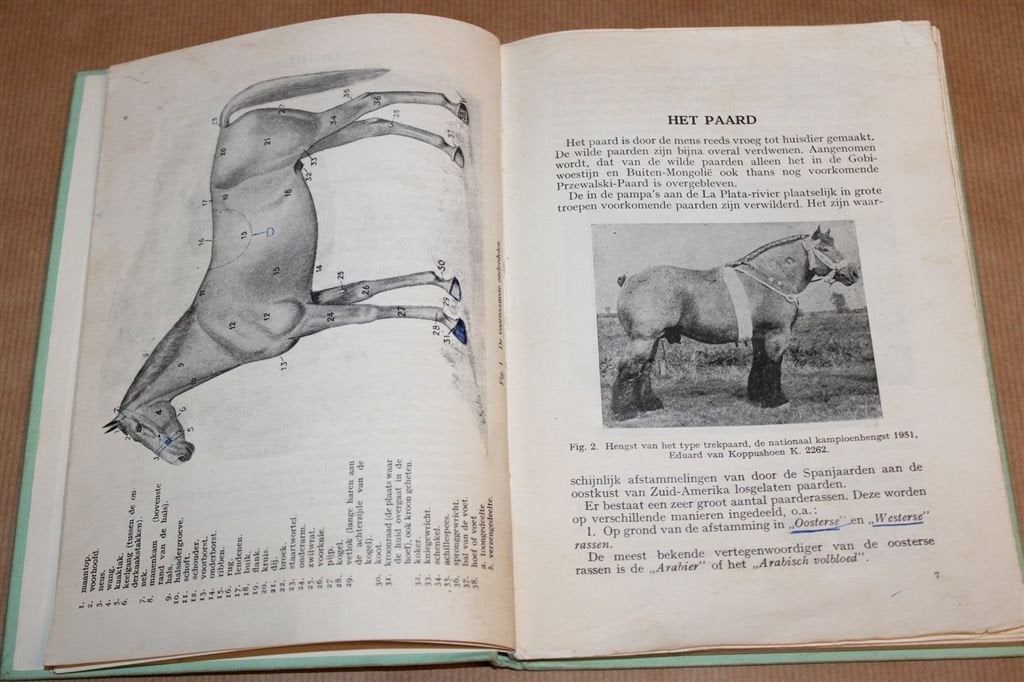 Veeteelt — Deel 2 Het Paard Anema & Nieuhoff 1957, Ophalen of Verzenden, Gelezen, Paarden of Pony's