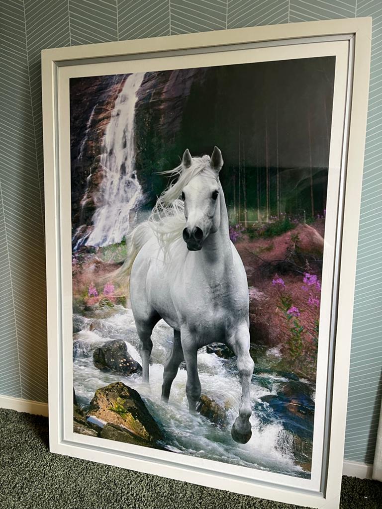Prachtige ingelijste poster van een wit paard, Ophalen, Gebruikt, Foto of Poster, 75 cm of meer