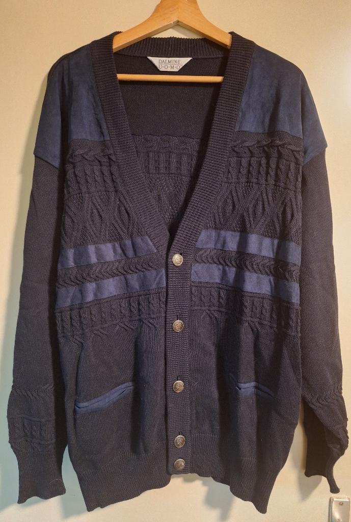 vintage heren vest van Dalmine Uomo, Ophalen of Verzenden, Nieuw, Maat 52/54 (L), Blauw
