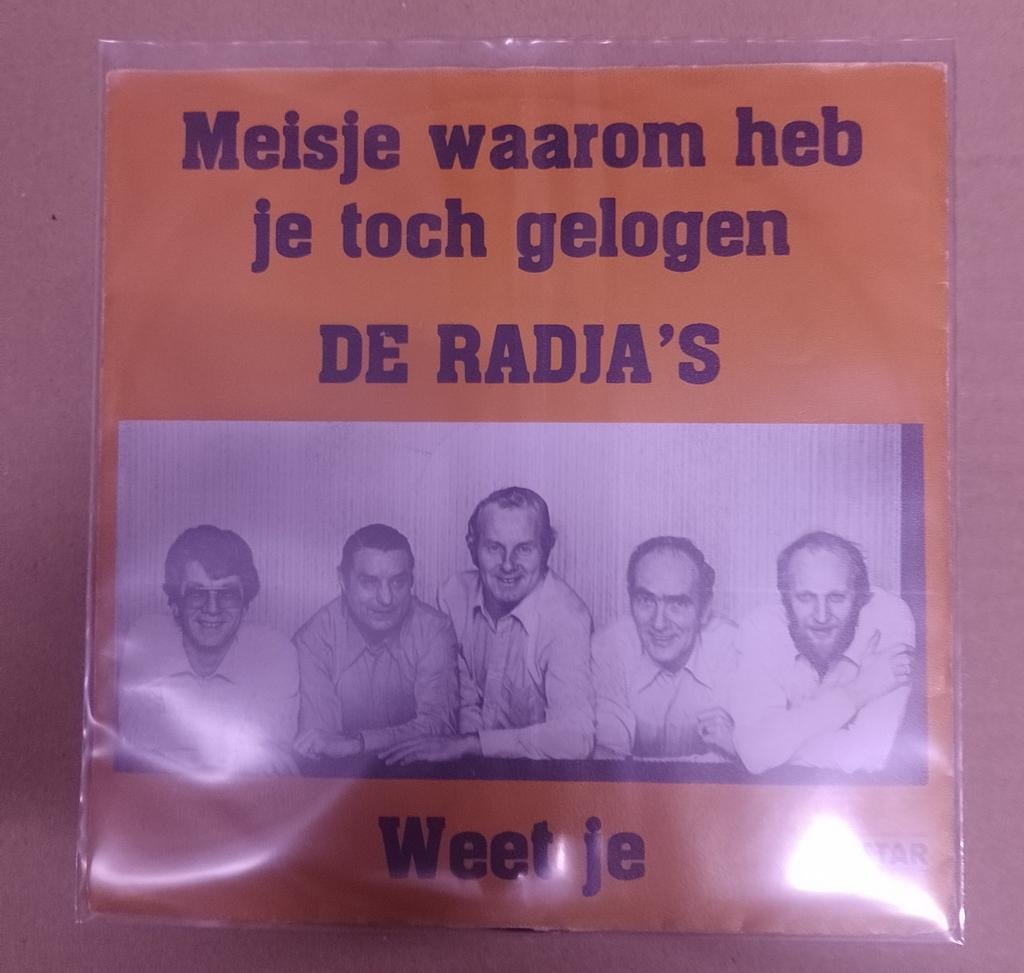 De Radja' s - Meisje waarom heb je toch gelogen., Ophalen of Verzenden, Gebruikt, Nederlandstalig