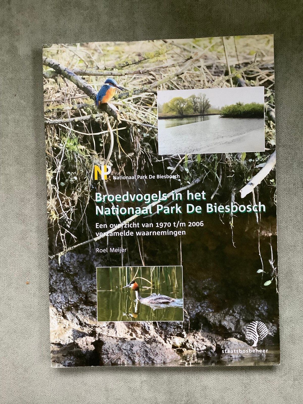 Broedvogels in het Nationaal Park De Biesbosch - Roel Meijer, Boeken, Ophalen of Verzenden, Zo goed als nieuw