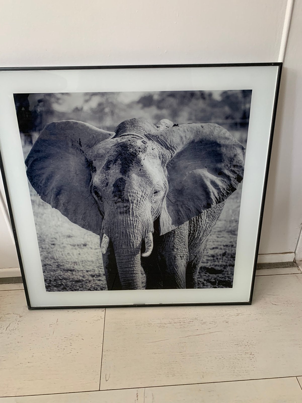 Olifant, Ophalen of Verzenden, Zo goed als nieuw, 50 tot 75 cm, Schilderij