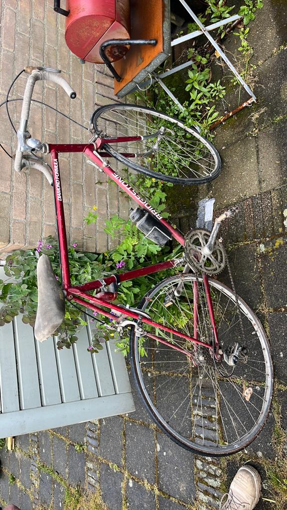 Bridgestone fiets diamond formula - ophalen Leidschendam, Ophalen