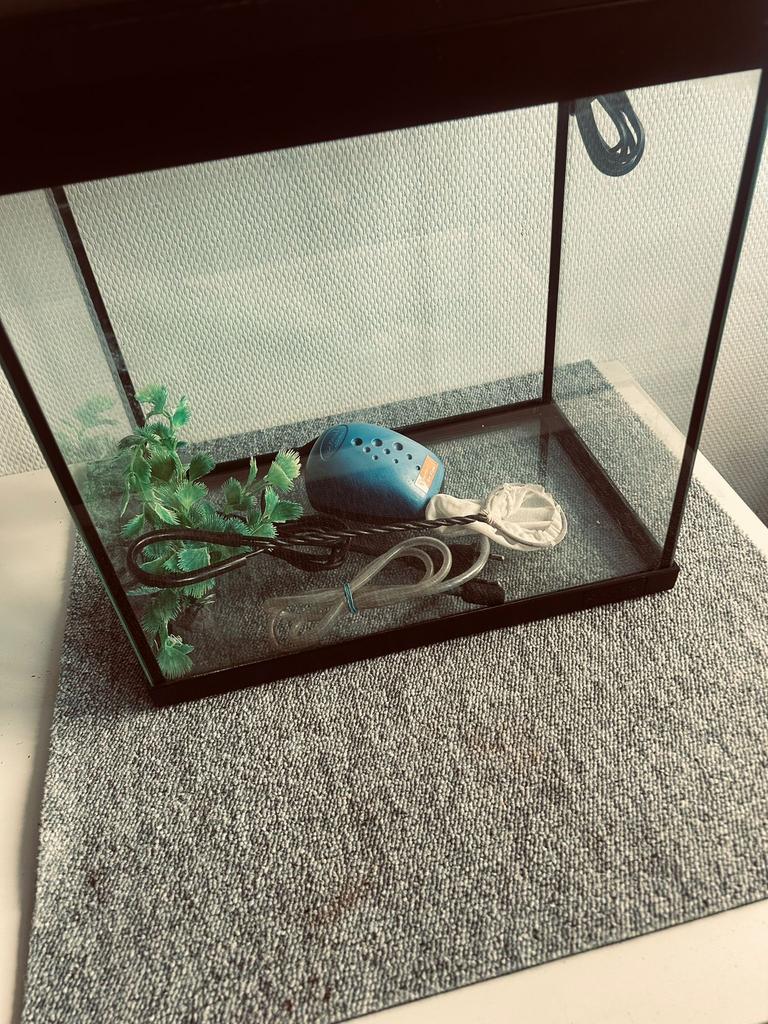Aquarium, Dieren en Toebehoren, Ophalen, Gebruikt