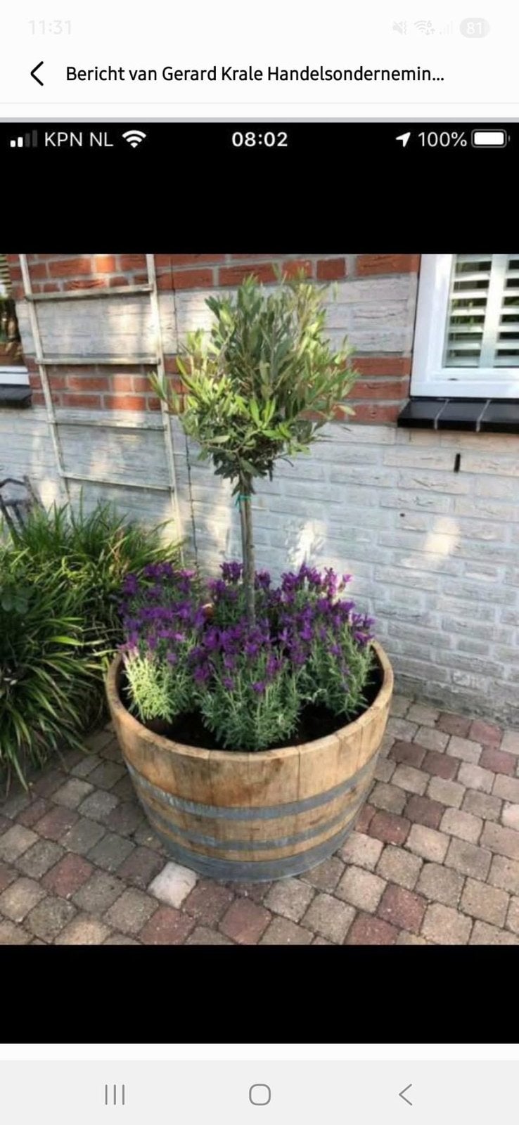 Bloembak half wijnvat whiskyvat vijver palmboom vijgenboom, Tuin en Terras, Bloembakken en Plantenbakken, Gerard Krale, Rond, Nieuw