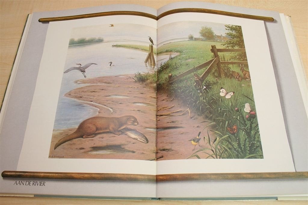 Wat Is Natuur Nog? — Koekkoek Wandplaten, Boeken, Ophalen of Verzenden, Gelezen, Overige onderwerpen