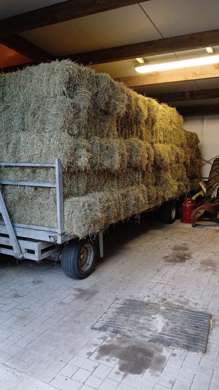 hooi, kleine balen, Dieren en Toebehoren, Dierenvoeding, Ophalen, Vee