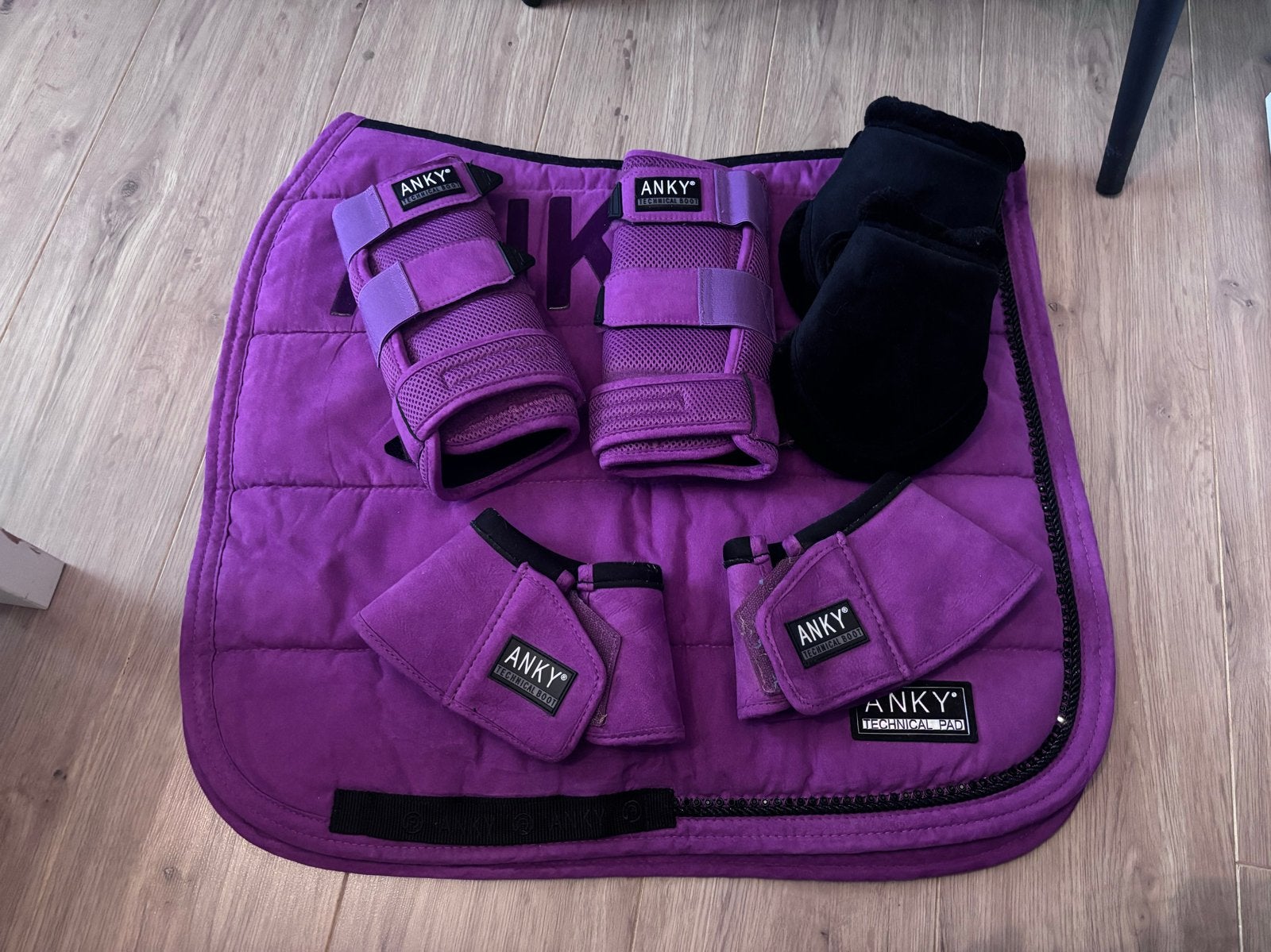 Anky set paars - full, Dieren en Toebehoren, Paarden en Pony's | Dekens en Dekjes, Full (L), Gebruikt, Dressuurdekje, Ophalen of Verzenden