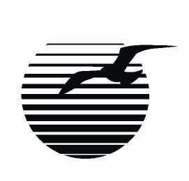 camper caravan bus sticker zon met vogel