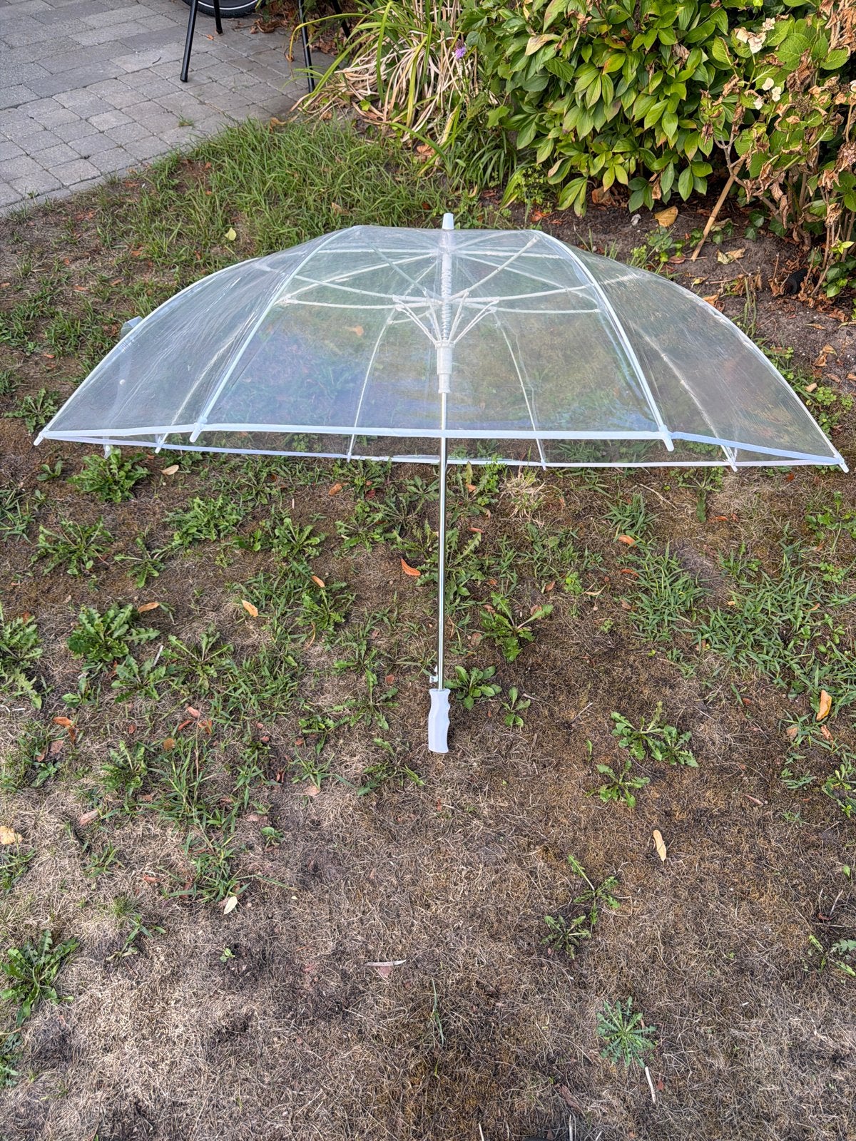 Transparante Windbestendige Bruiloft Paraplu - Ø 124 cm, Sieraden, Tassen en Uiterlijk, Paraplu's, Ophalen of Verzenden, Transparant