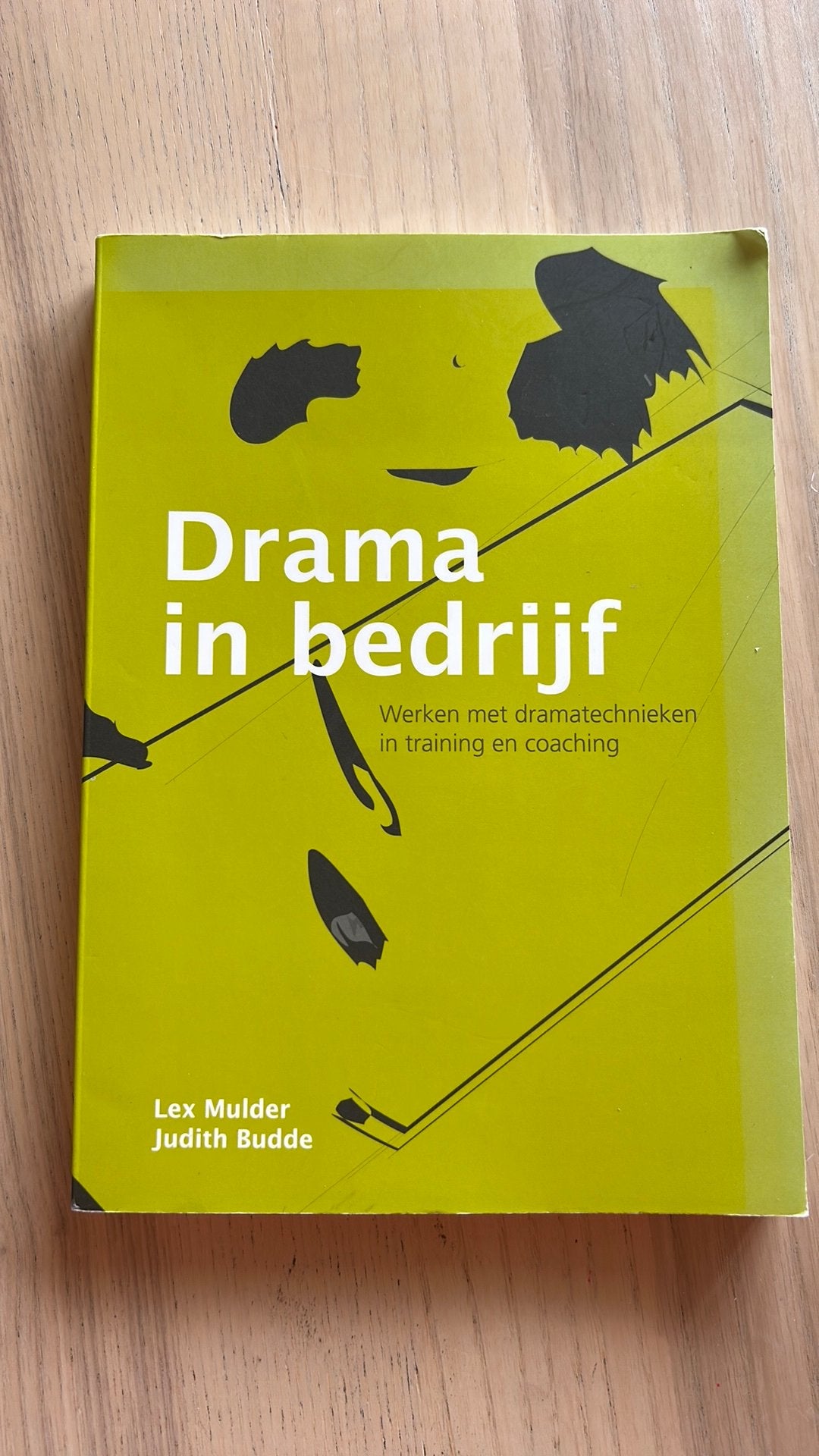 Lex Mulder - Drama in bedrijf, Ophalen of Verzenden, Zo goed als nieuw, Lex Mulder; Judith Budde