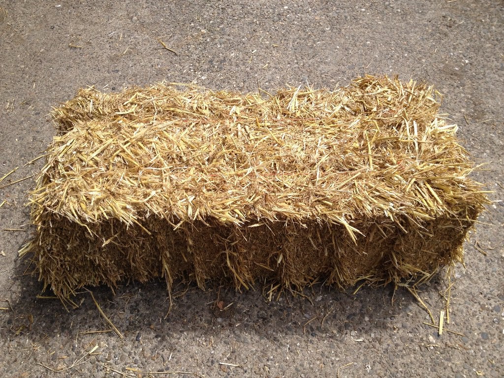 stro kleine pakken, Opfok