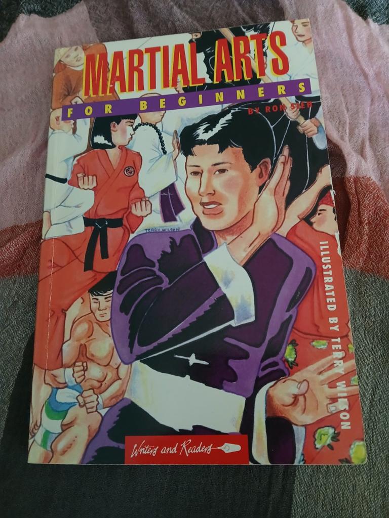 Martial Arts for Beginners - Ron Sieh (1995), Ophalen of Verzenden, Gelezen, Ron Sieh, Vechtsport