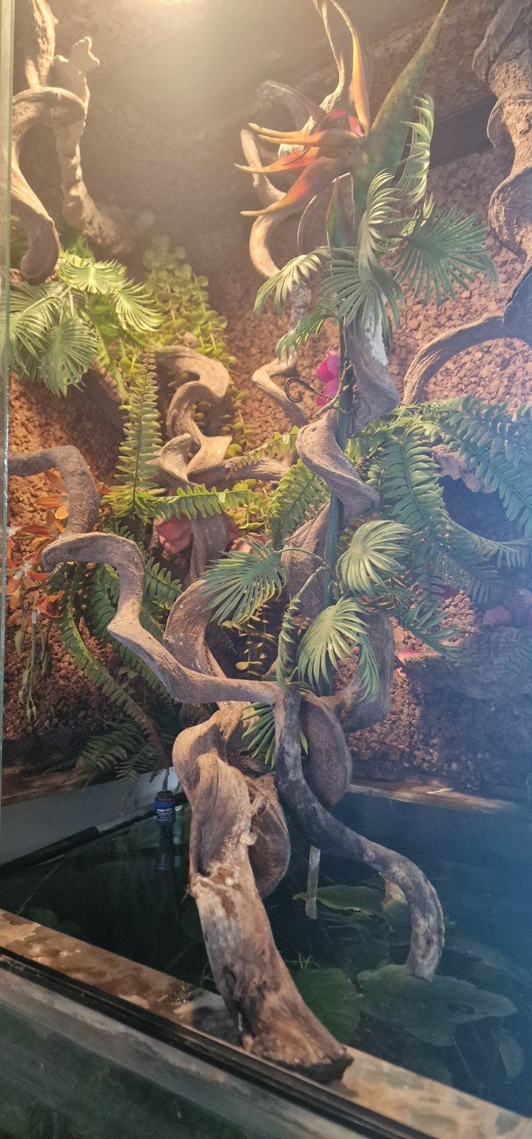 groot paludarium!, Dieren en Toebehoren, Ophalen, Gebruikt, Terrarium of Paludarium