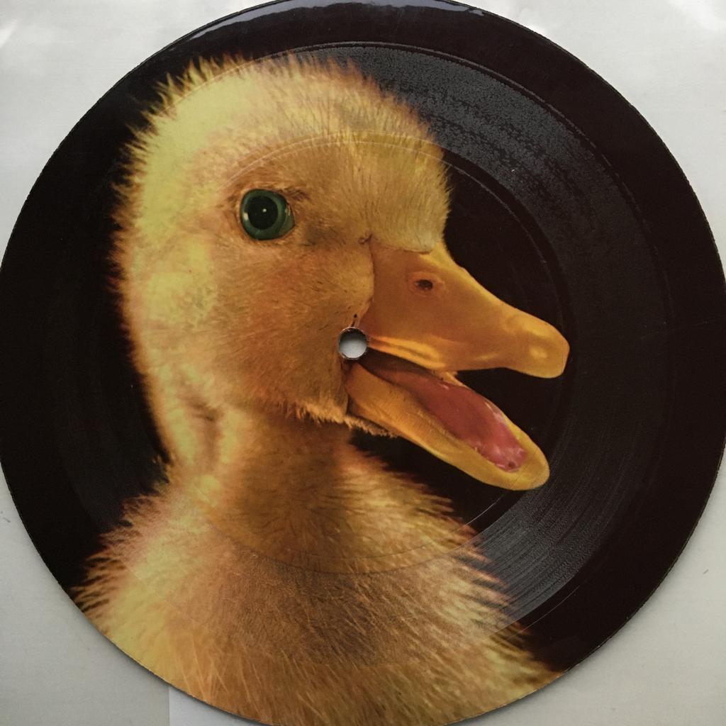 DB52 promo voor 2CV picture disk HOL60 €20, Overige genres, 7 inch, Single, Ophalen of Verzenden