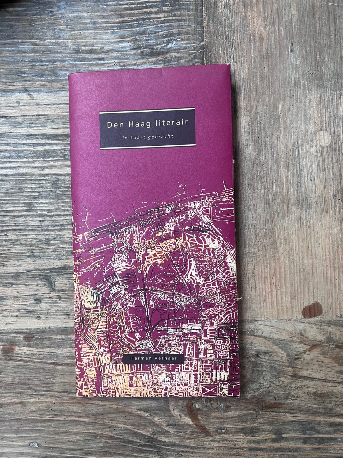 Den Haag literair in kaart gebracht", Boeken, Ophalen of Verzenden, Zo goed als nieuw