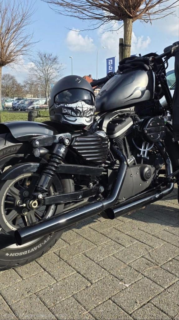 Harley Davidson sportster 883, 2 cilinders, Occasion, Chopper, Sportuitlaat