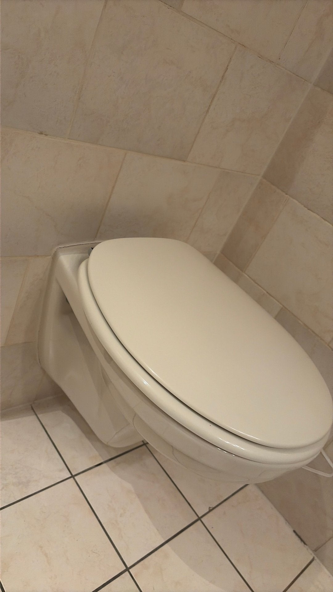 Wc pot, Doe-het-zelf en Verbouw, Ophalen, Gebruikt, Toilet