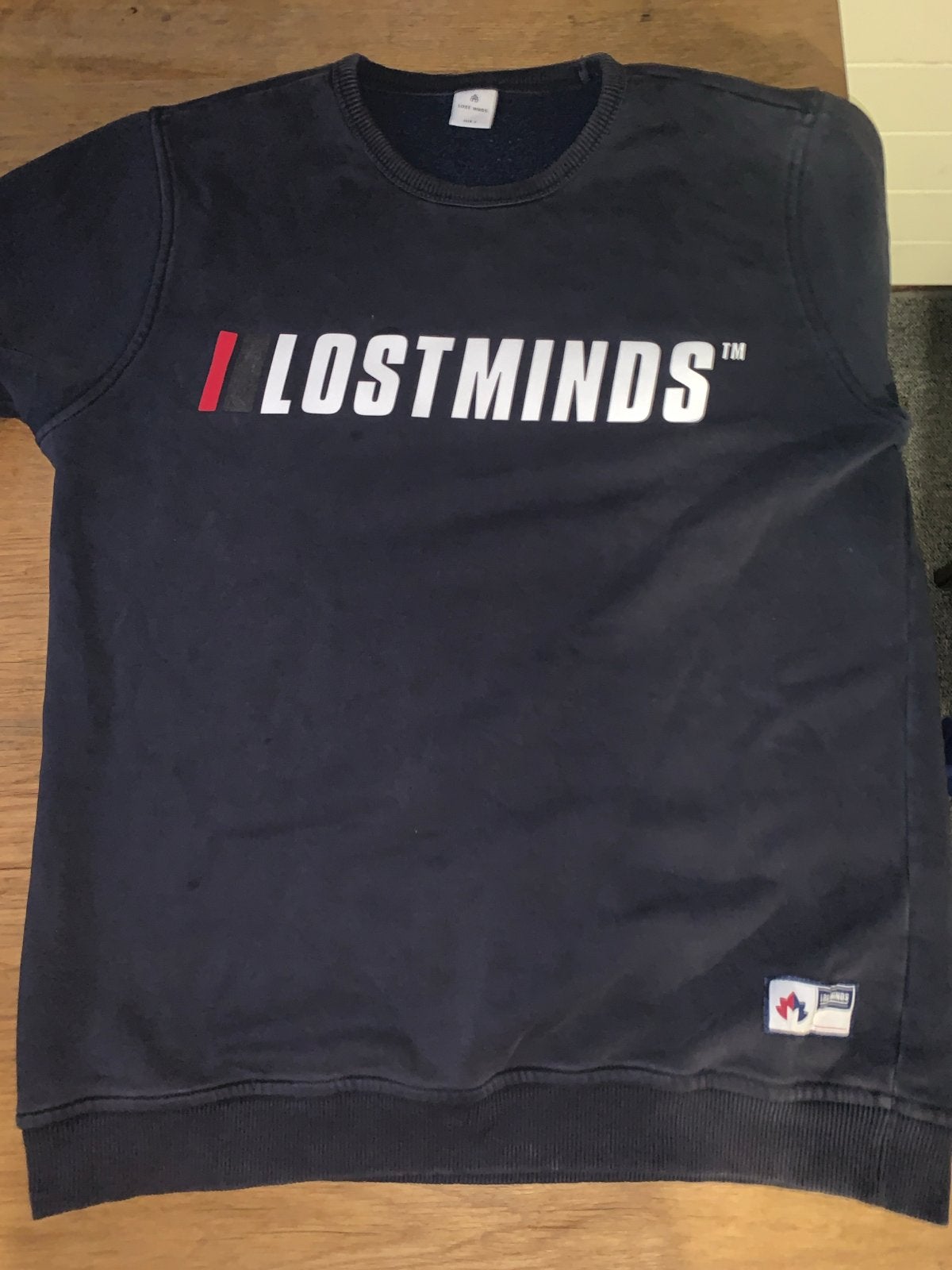Lostminds sweater donkerblauw, Kleding | Heren, Ophalen of Verzenden, Gedragen, Blauw