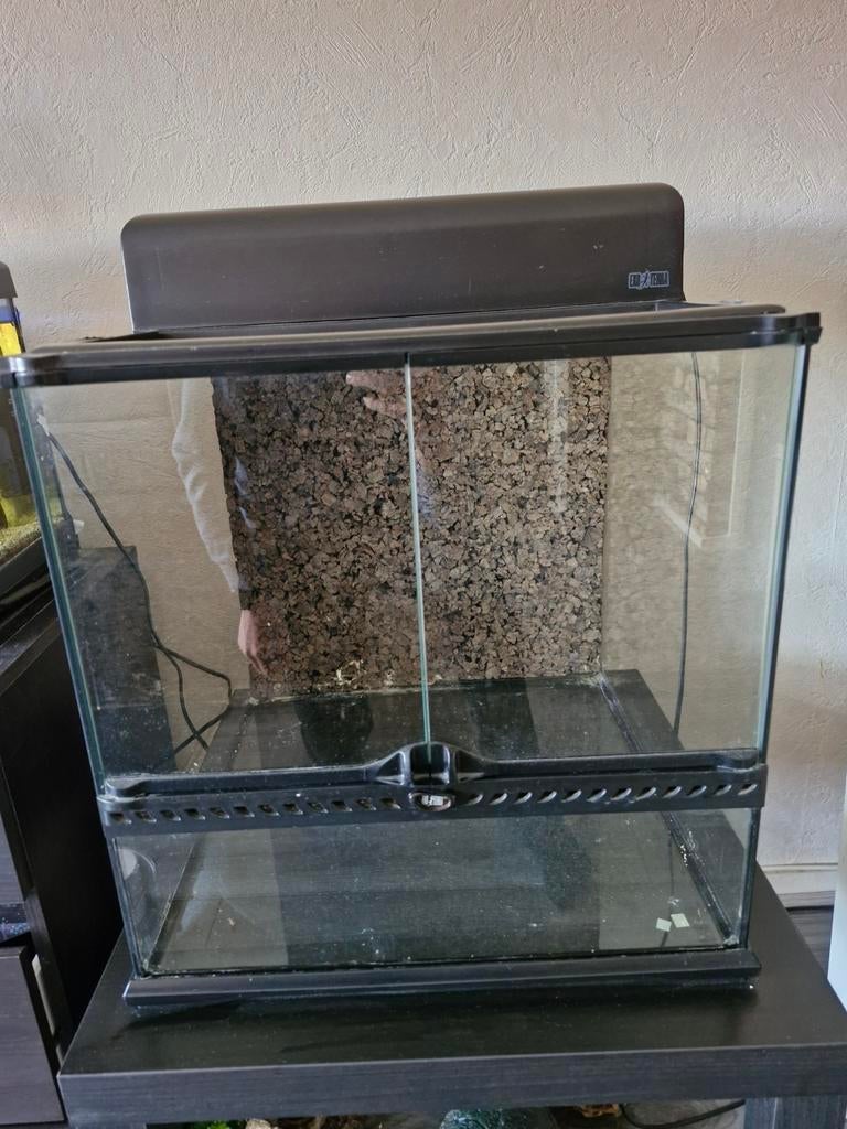 Terrarium, Dieren en Toebehoren, Reptielen en Amfibieën | Toebehoren, Ophalen, Gebruikt, Terrarium of Paludarium