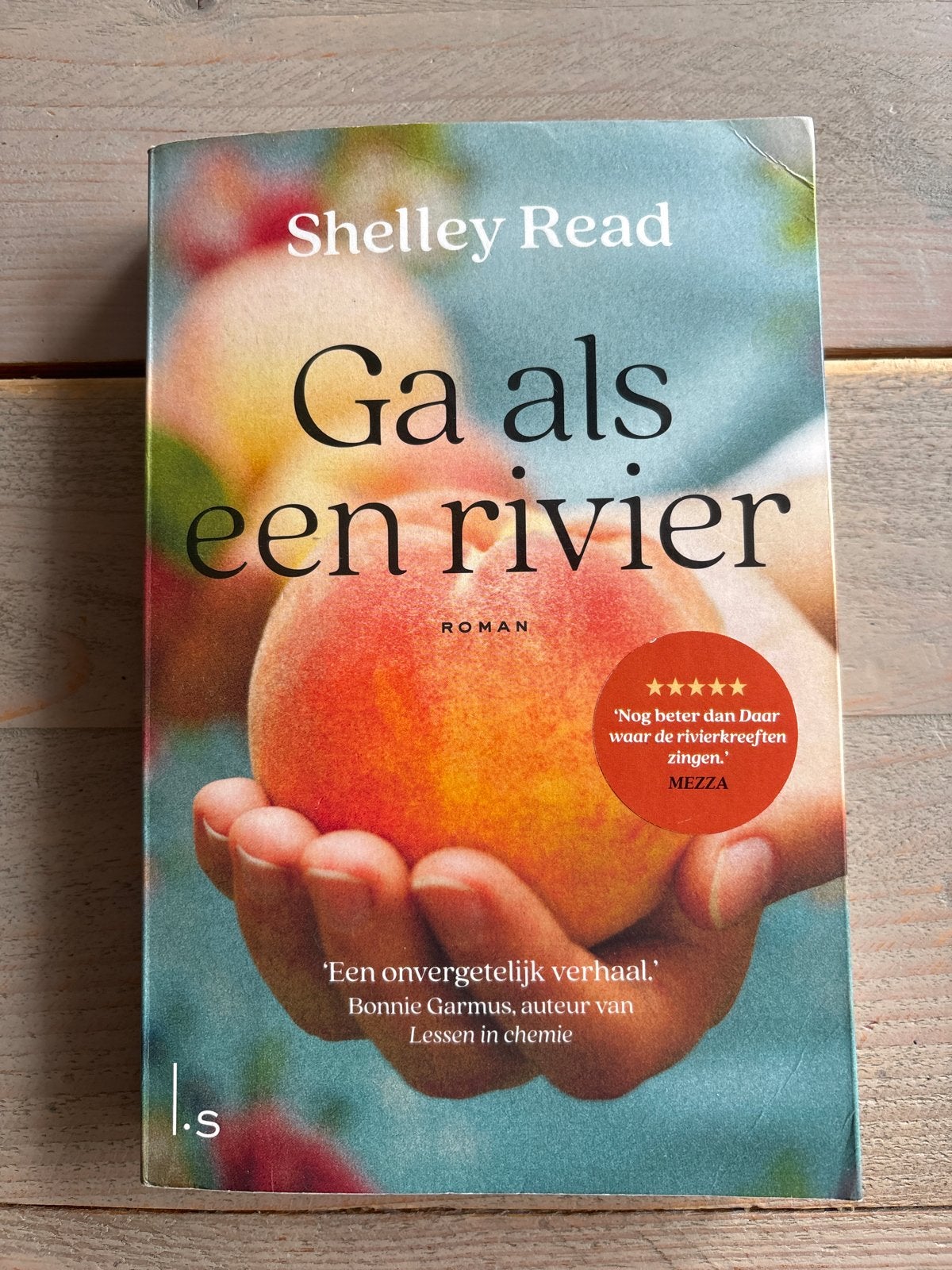 Ga als een rivier - Shelley Read (Roman), Ophalen of Verzenden, Gelezen, Nederland