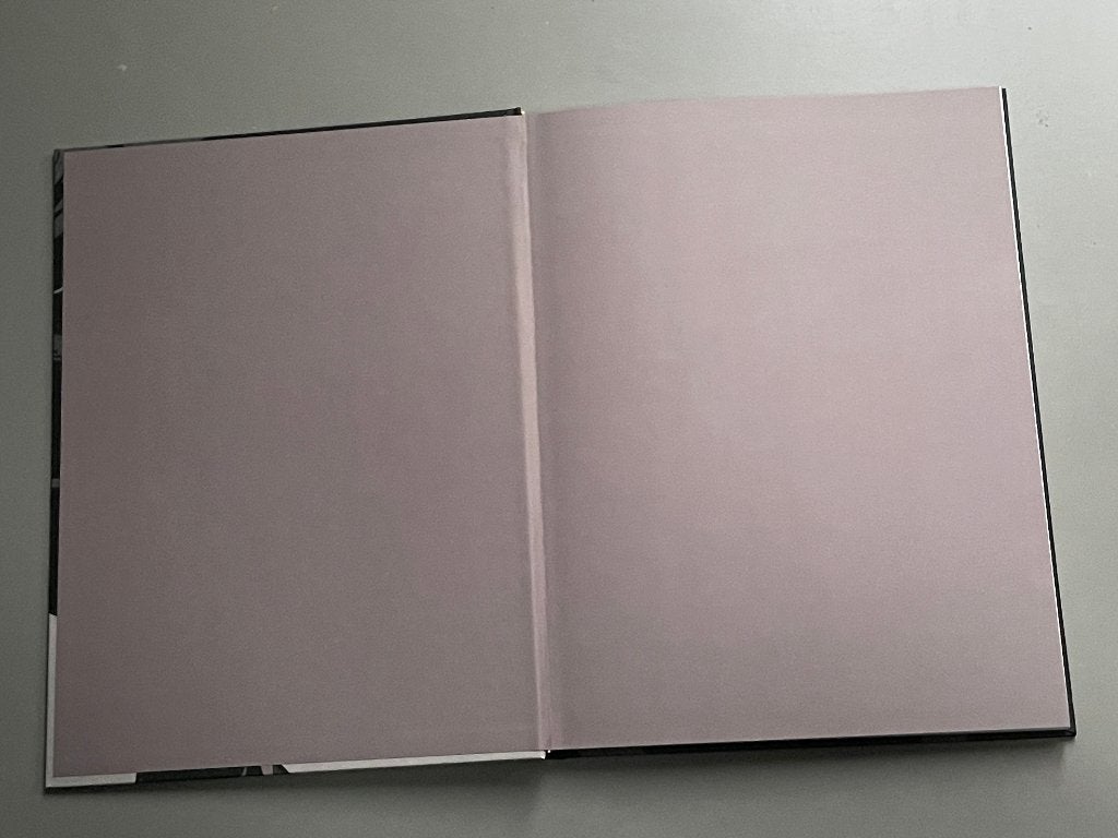 Blacksad  Ergens tussen de schaduwen - luxe grootformaat, Boeken, Eén stripboek, Ophalen of Verzenden, Nieuw