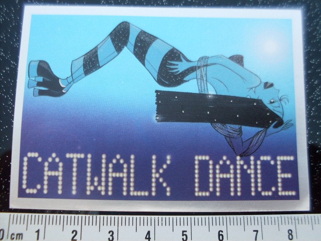 panini sticker catwalk dance, Verzenden, Zo goed als nieuw, Overige typen