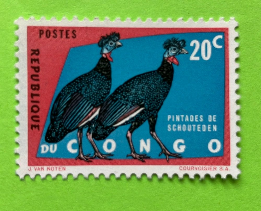 Vogels, Ophalen of Verzenden, Dier of Natuur