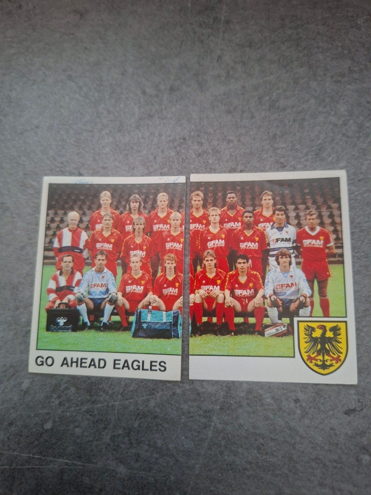 Panini sticker Voetbal 89. Teamfoto Go Ahead Eagles, Ophalen of Verzenden, Zo goed als nieuw, Sticker