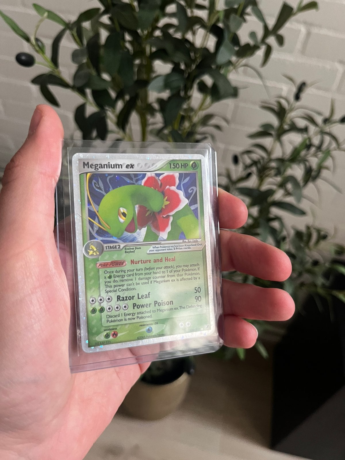 Meganium EX, Ophalen of Verzenden, Zo goed als nieuw