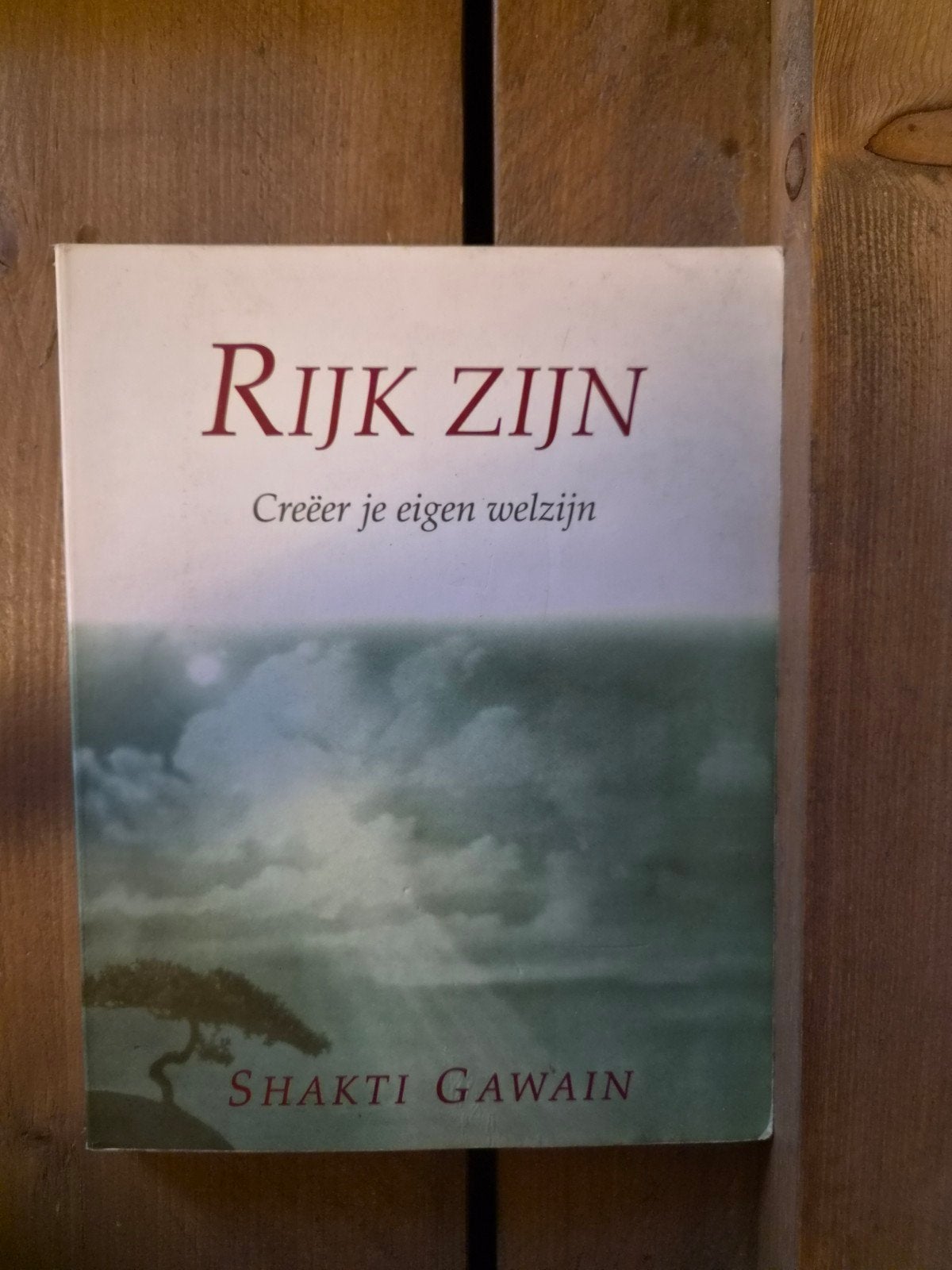 Rijk Zijn: Creëer je eigen welzijn - Shakti Gawain, Gelezen, Achtergrond en Informatie, Spiritualiteit algemeen, Shakti Gawain