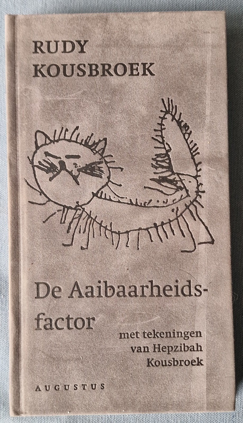Rudy Kousbroek - De Aaibaarheidsfactor (met tekeningen), Ophalen of Verzenden, Zo goed als nieuw, Rudy Kousbroek, Nederland