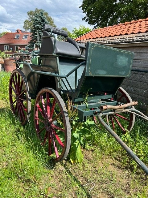 Robuuste klassiek menwagen, Gebruikt, Overige typen, Paard