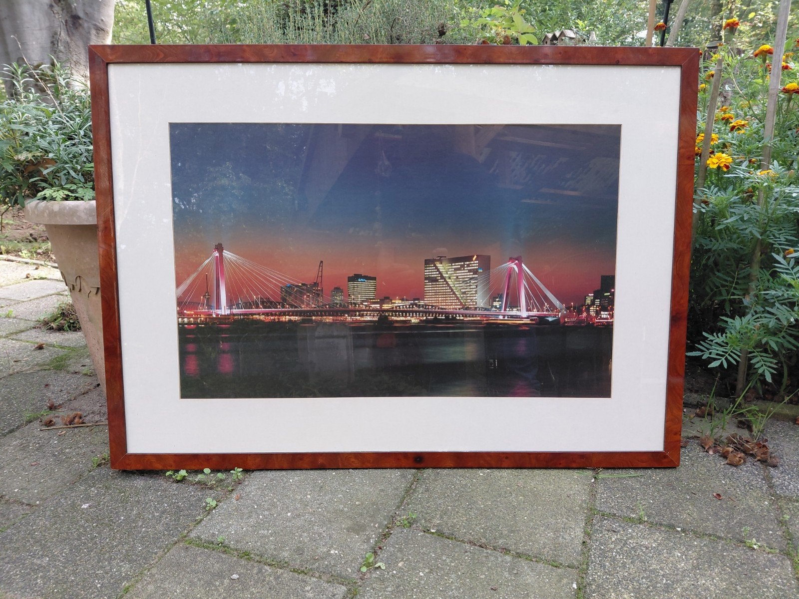 Grote ingelijste foto van de Erasmusbrug, Rotterdam, Ophalen, 50 – 75, Zo goed als nieuw, 75 tot 100 cm