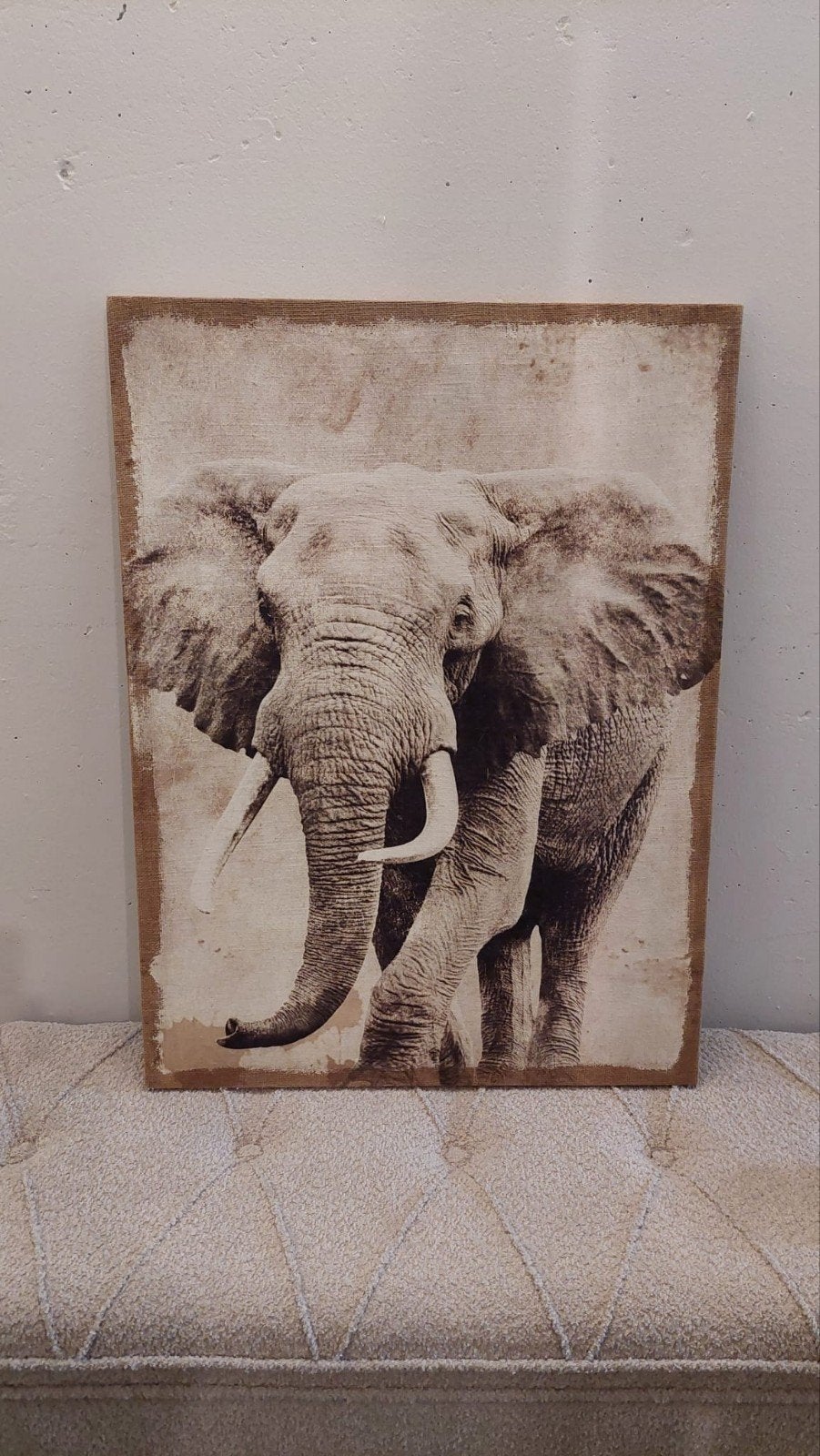 Groot Canvas Schilderij Olifant, Ophalen, Zo goed als nieuw, Schilderij
