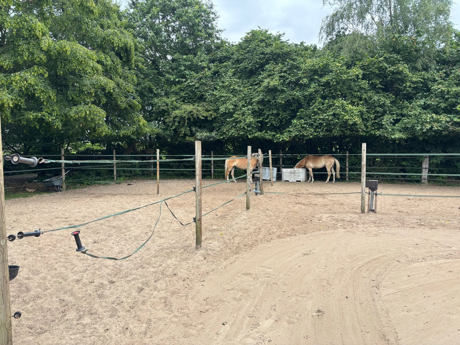 Paddock palen  isolatoren en lint 15 stuks, Dieren en Toebehoren, Toebehoren