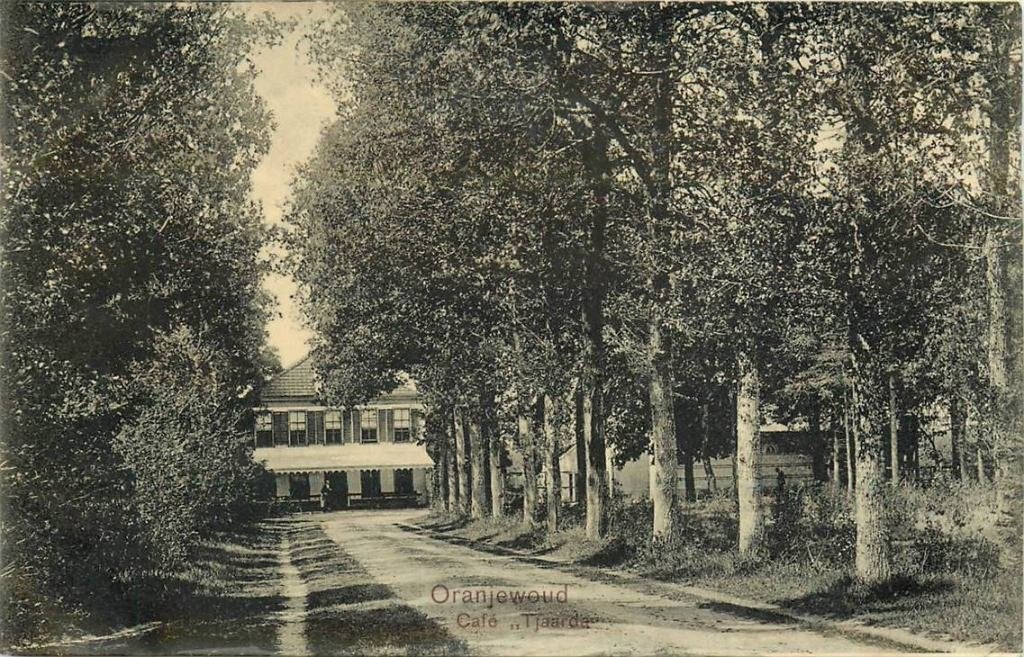 388-274-003 Oranjewoud Cafe Tjaarda, Verzenden, Voor 1920, Friesland