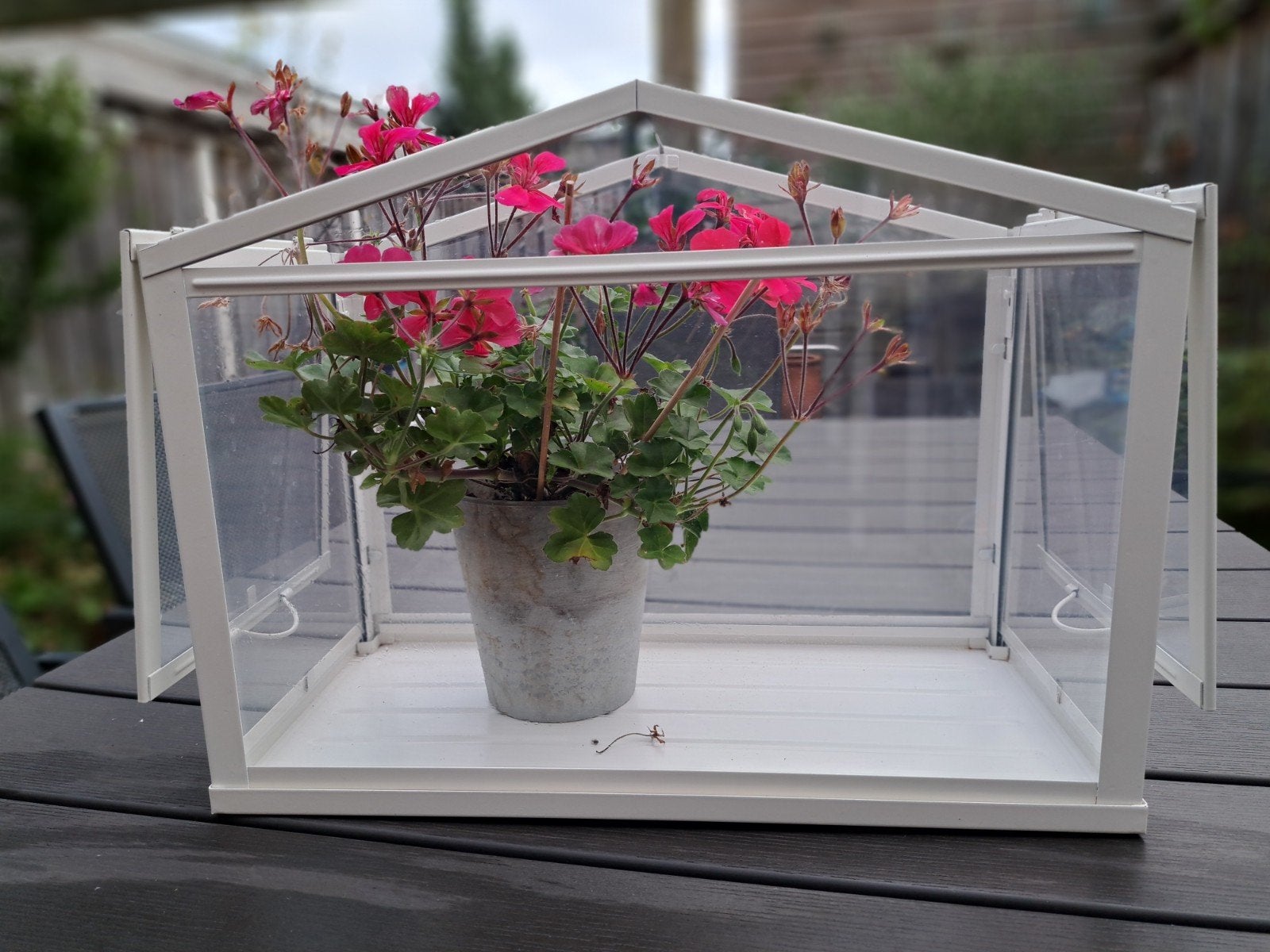 Ikea Kweekkastje / Plantenkas(t) - Gebruikt maar functioneel, Tuin en Terras, Kweekspullen, Ophalen, Gebruikt, Kweekkast