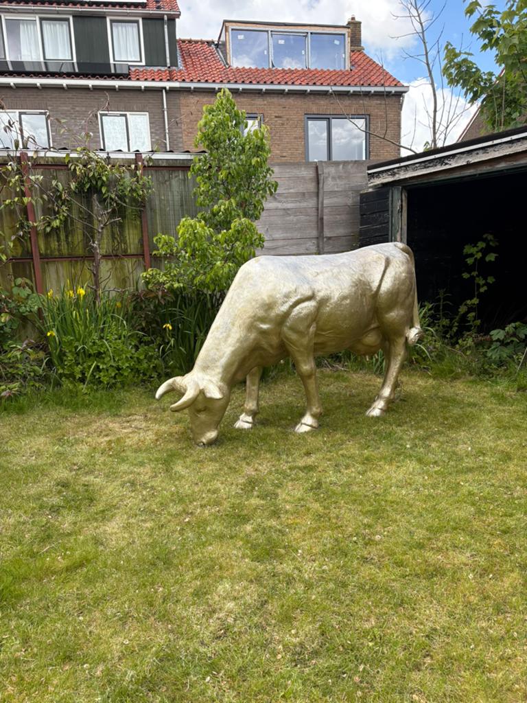 Gouden tuindecoratie koe, Tuin en Terras, Tuinbeelden, Ophalen, Gebruikt, Kunststof, Dierenbeeld
