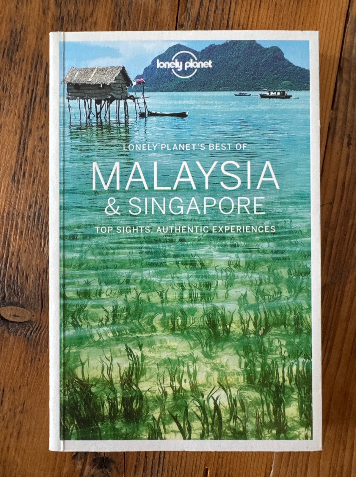 Lonely Planet Malaysia & Singapore, Boeken, Ophalen, Lonely Planet, Europa, Zo goed als nieuw
