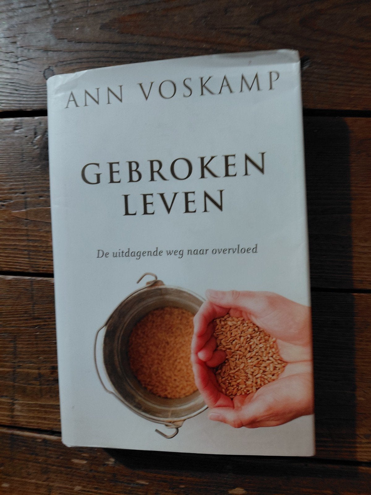 Ann Voskamp - Gebroken leven, Boeken, Ophalen of Verzenden, Gelezen