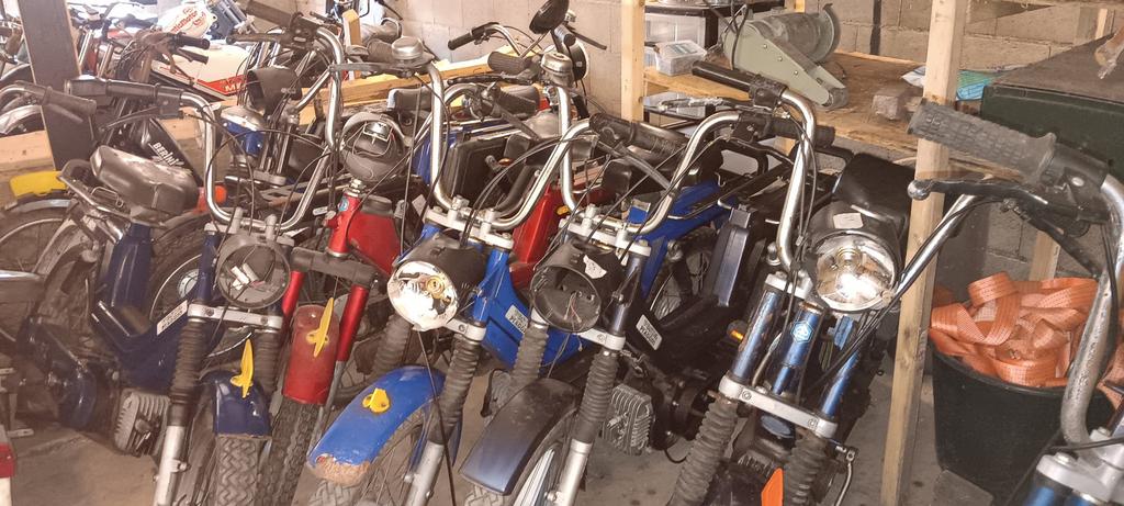 40 X PUCH MAXI-VESPA-CIAO-SI GRILLO CITTA  EXPORT OF OPKNAP, Ophalen, Gebruikt, Maximaal 45 km/u, 0 versnellingen