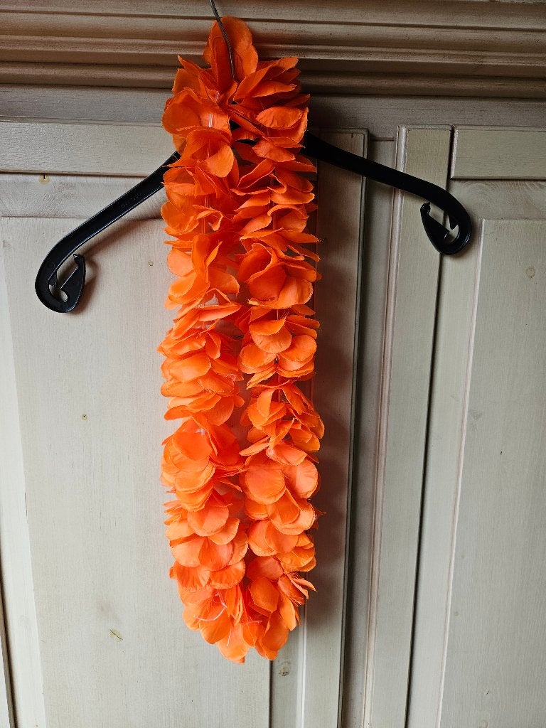 oranje boa, Kleding | Dames, Verzenden, Oranje of Koningsdag, Accessoires, Onbekend