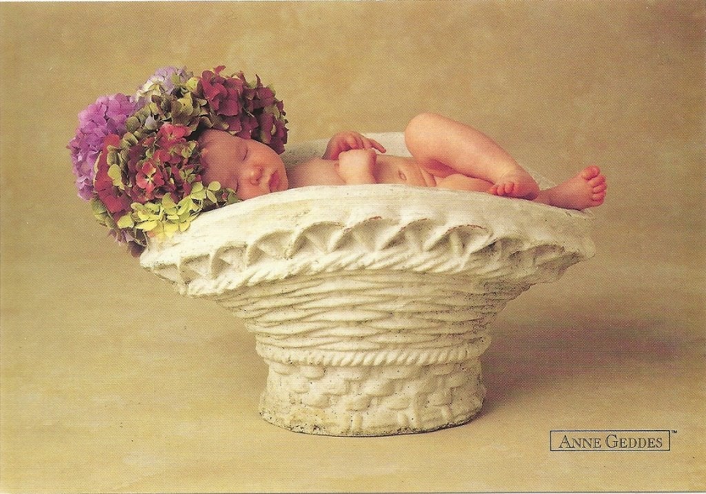 Anne Geddes, Verzenden, Ongelopen, Utrecht