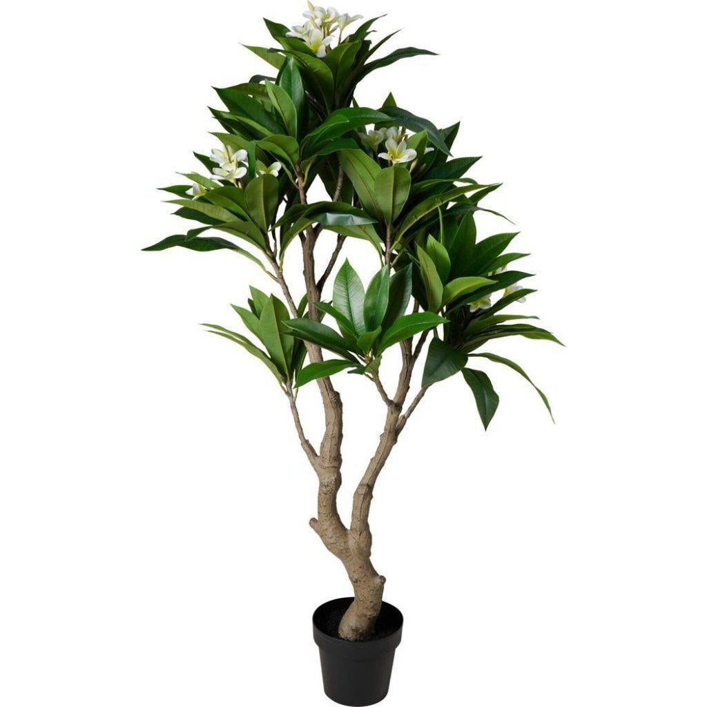 Kunstplant Plumeria 75x150 cm Wit/Groen, Ophalen, Binnen, Home & Styling, Home & Styling