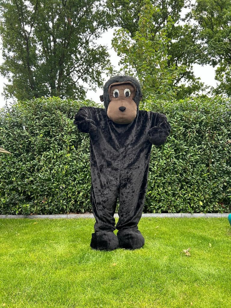 Te Huur: Aapkostuum, Mascotte, Dieren, Carnaval, Ophalen of Verzenden, Zo goed als nieuw, Overige